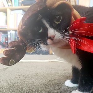 Meet your Posher, Gary